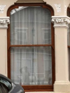 london box sash windows 5
